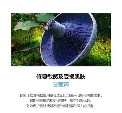 看了小红书感觉自己又行了,看完小红书