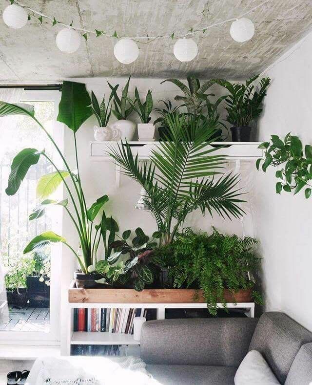 大门面对卫生间门怎么化解,入户大门正对卫生间有什么事