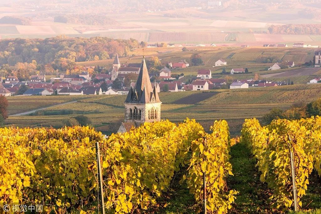 法国香槟区庄园,法国奢华香槟酒背后秘密