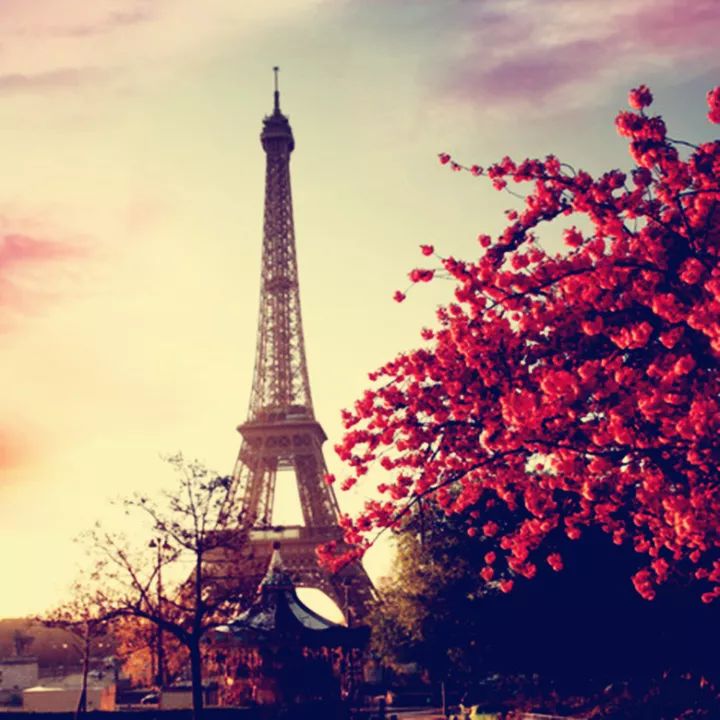 一辈子没结婚，7个单身女人买房同居10年，80岁了还染发、化妆、四处去浪……把老年生活过成了诗