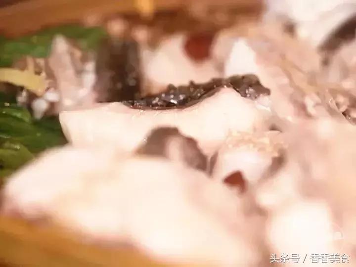 去拔草心仪已久的美食,这次采野菜我们的收获有什么