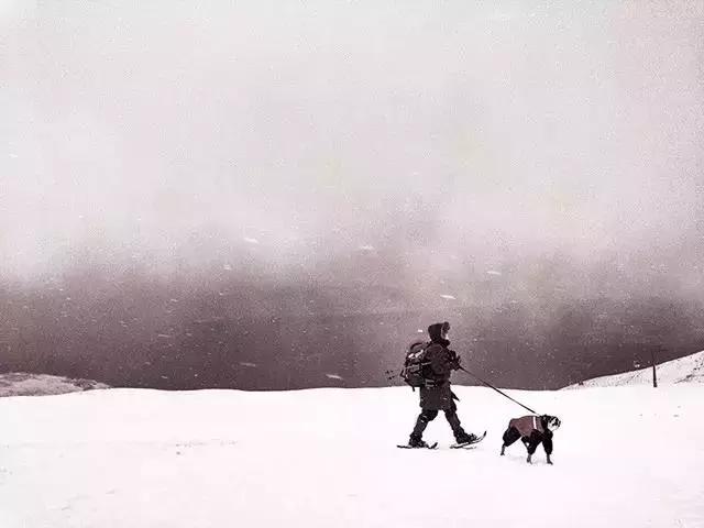 手机摄影干货知识分享排名,手机摄影攻略大放送