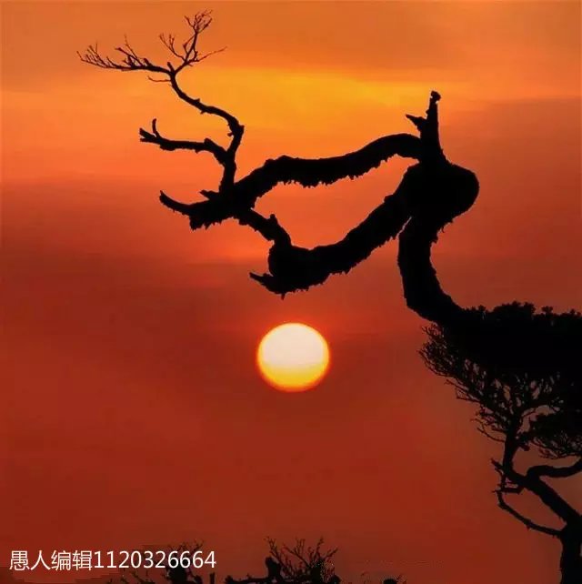 邂逅死神,邂逅死亡美剧