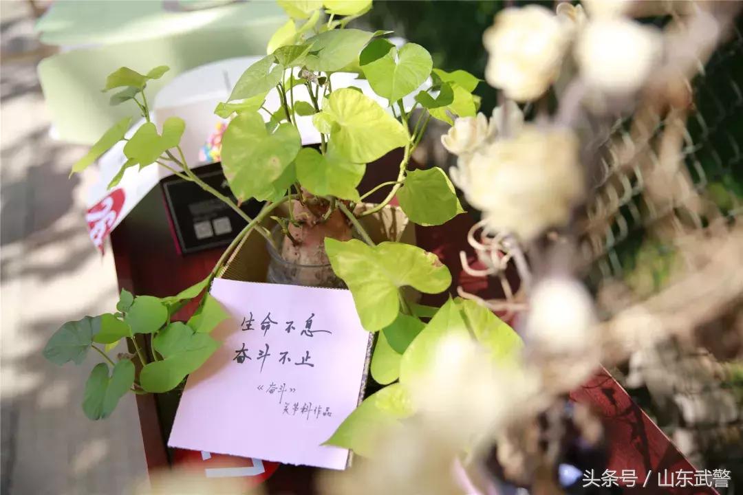 护士节图片最美白衣天使,5.12国际护士节致敬最美白衣天使