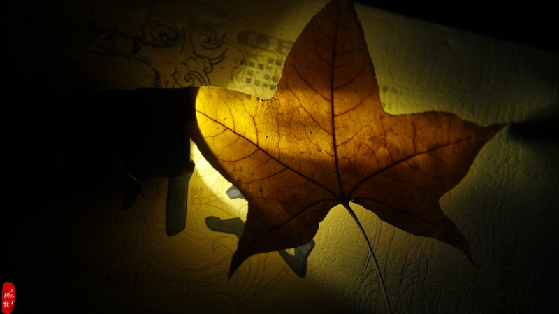 全能小怪-NITECOREMT21C使用体验