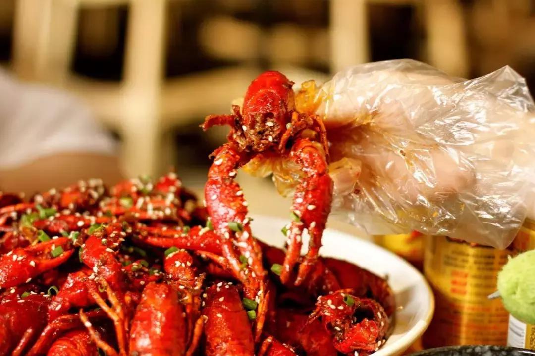 涓嶈缇℃厱鍑哄幓鏃呮父鐨勪汉,涓嶈缇℃厱鍑哄浗鏃呮父