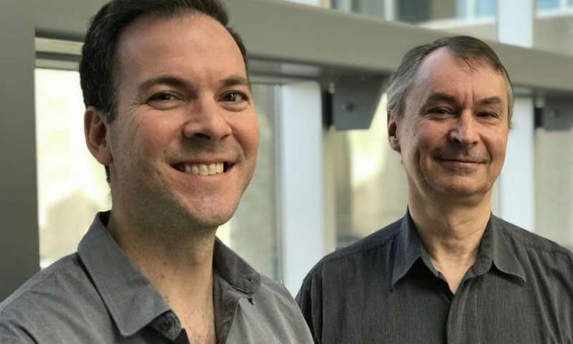 ms免疫疾病是什么,免疫系统的知识讲解