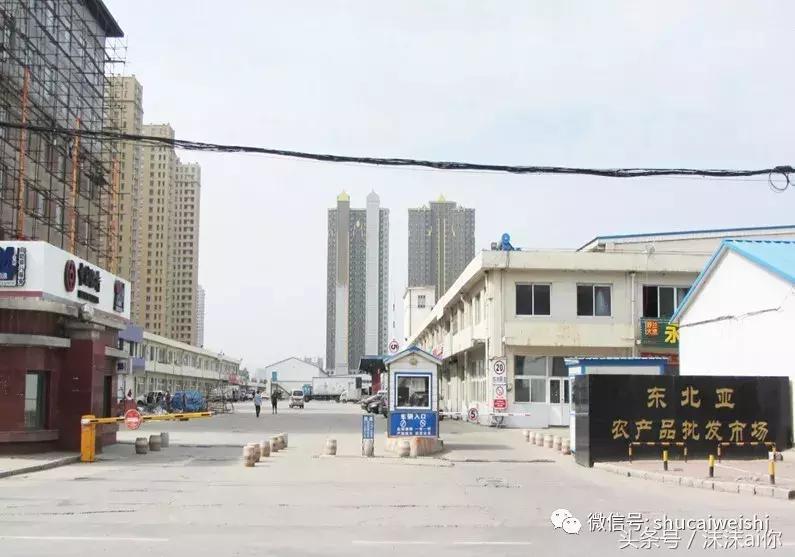 全国蔬菜批发市场十大排名榜,全国蔬菜批发市场十大排名