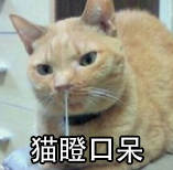 我怀念2011年时候的《推理学院》,再见了葫芦哥和贞子姐