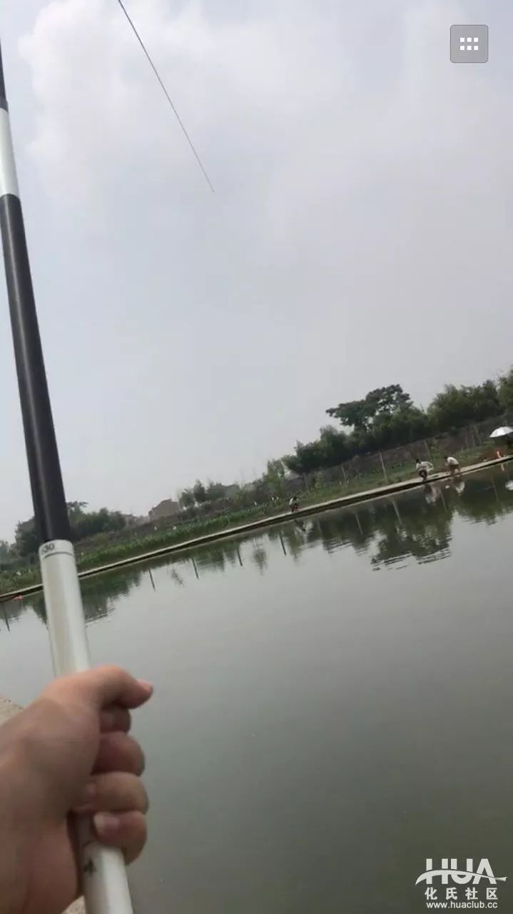 一味ex5米4野钓,一味ex鱼竿黑坑