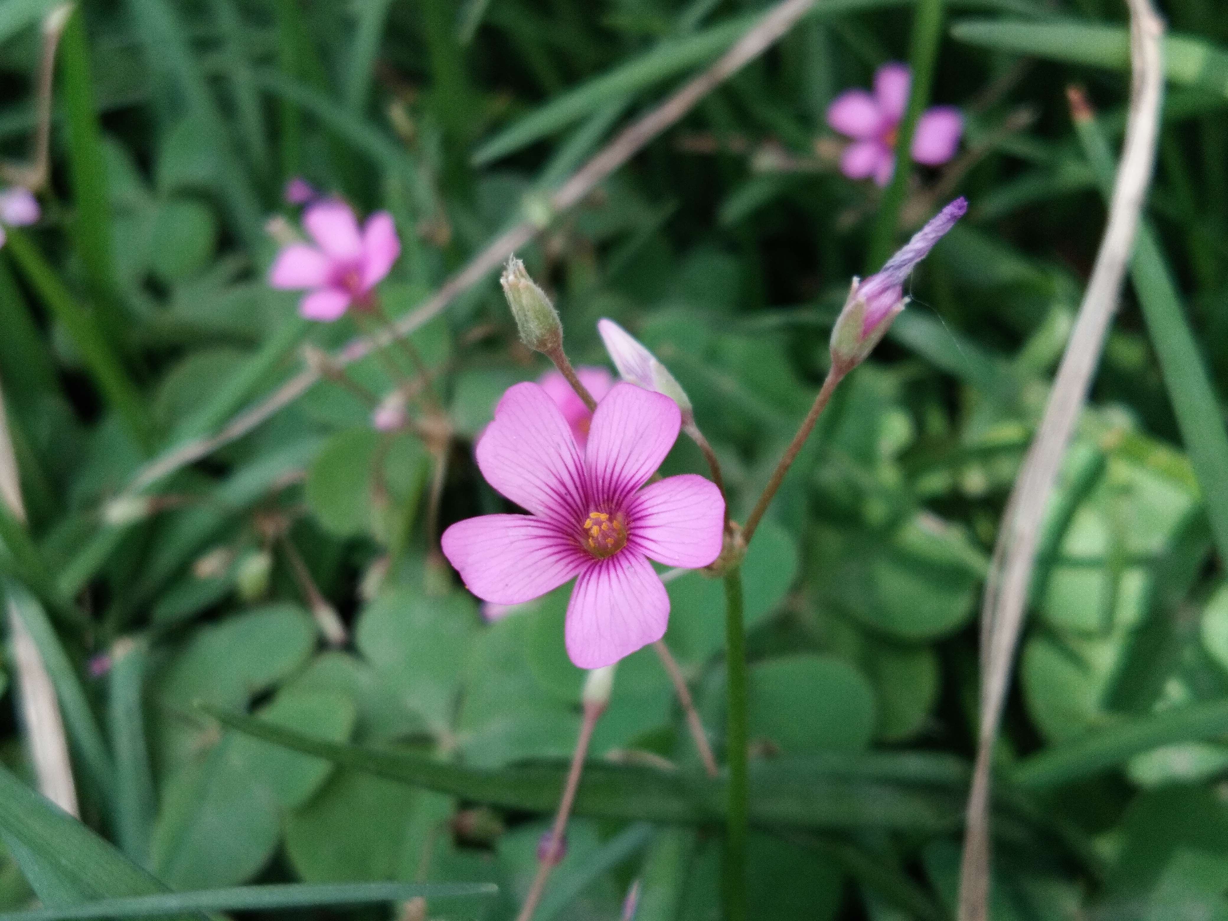 脚踏汉城湖公园全程!感受汉武辉煌!