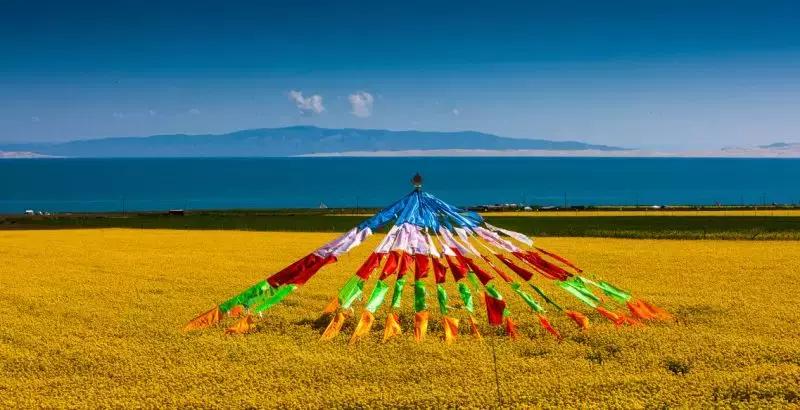 我们为什么要去大西北,为什么要去大西北旅行的理由是啥