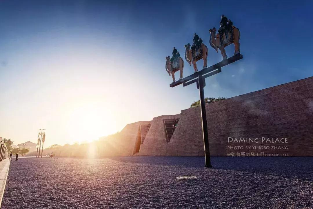 妖猫传电影中最美的片段,电影妖猫传长安的图片