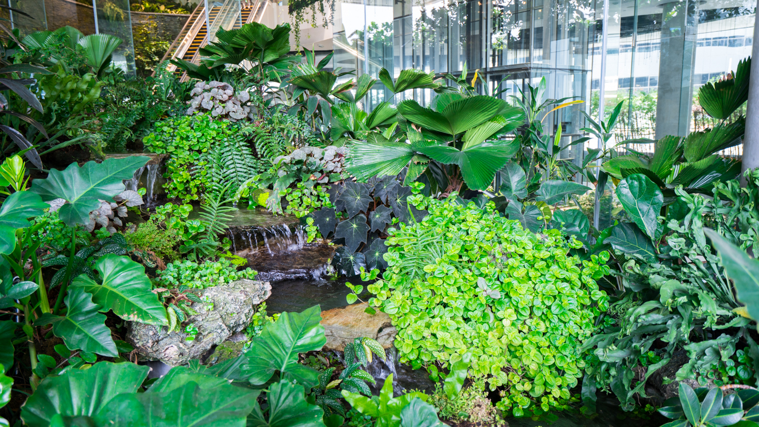 泰国旅游曼谷清迈攻略,泰国清迈的旅游攻略