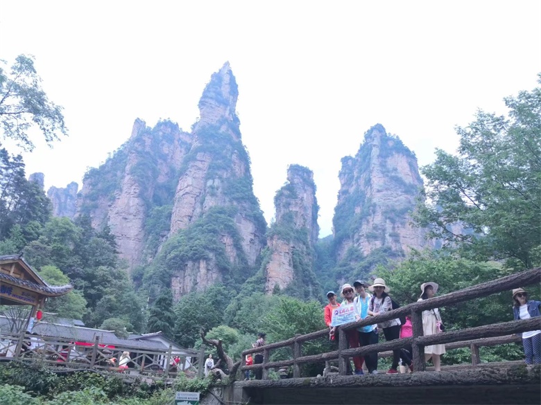 香港人组团游张家界,姐妹相约张家界三日游