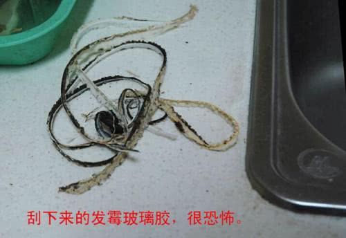 玻璃胶发霉用什么遮盖,玻璃胶用久了发霉用什么去霉斑