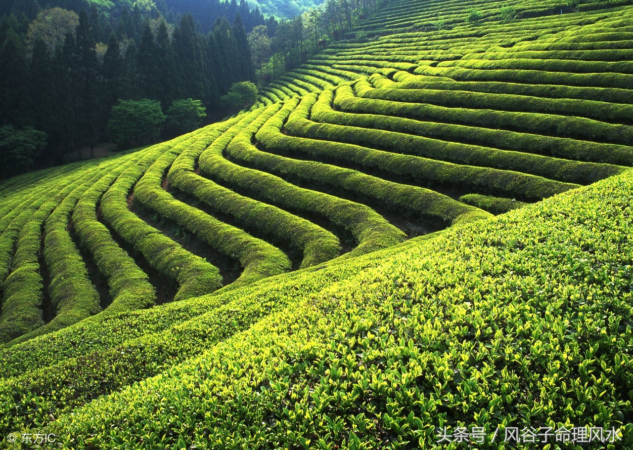 男怕入错行女怕嫁错郎选对职业,女怕嫁错郎男怕入错行业该怎么选