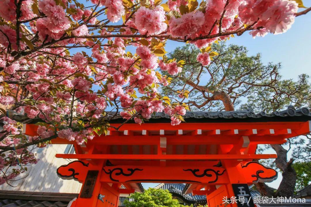 你有新的消息请注意查收,你有新的消息需要查收吗