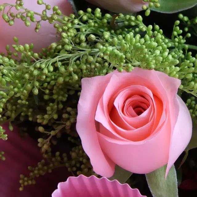 没人帮一切只能靠自己 (一切只能靠自己)