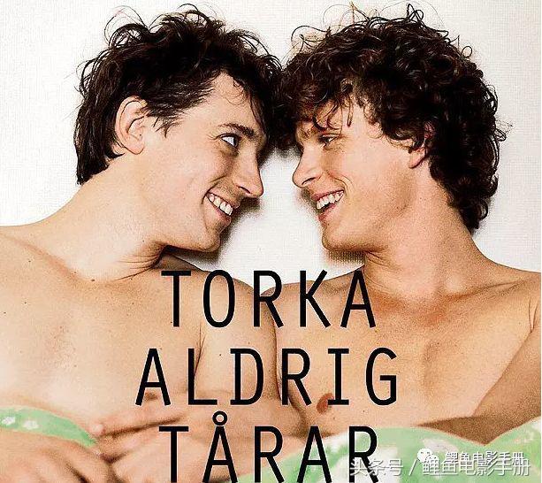 推荐六部高潮迭起的电影 (欧美100部真人纯爱电影推荐)