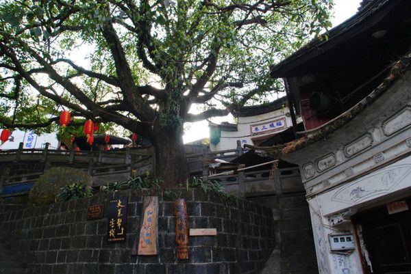 “情不知所起,一往而深”:腾冲旅游吃住行攻略拿走不谢