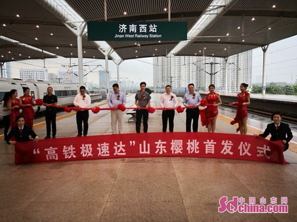 清晨采摘下午发货,清晨采摘大樱桃