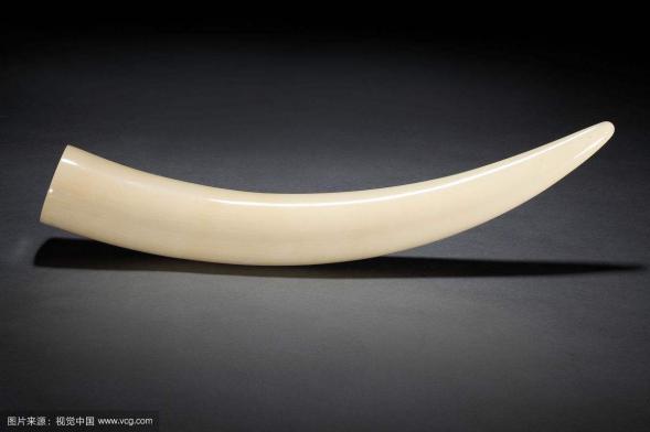 儿时学翩翩公子玩过折扇的在哪里？如今竹扇可卖出iPhoneX的价