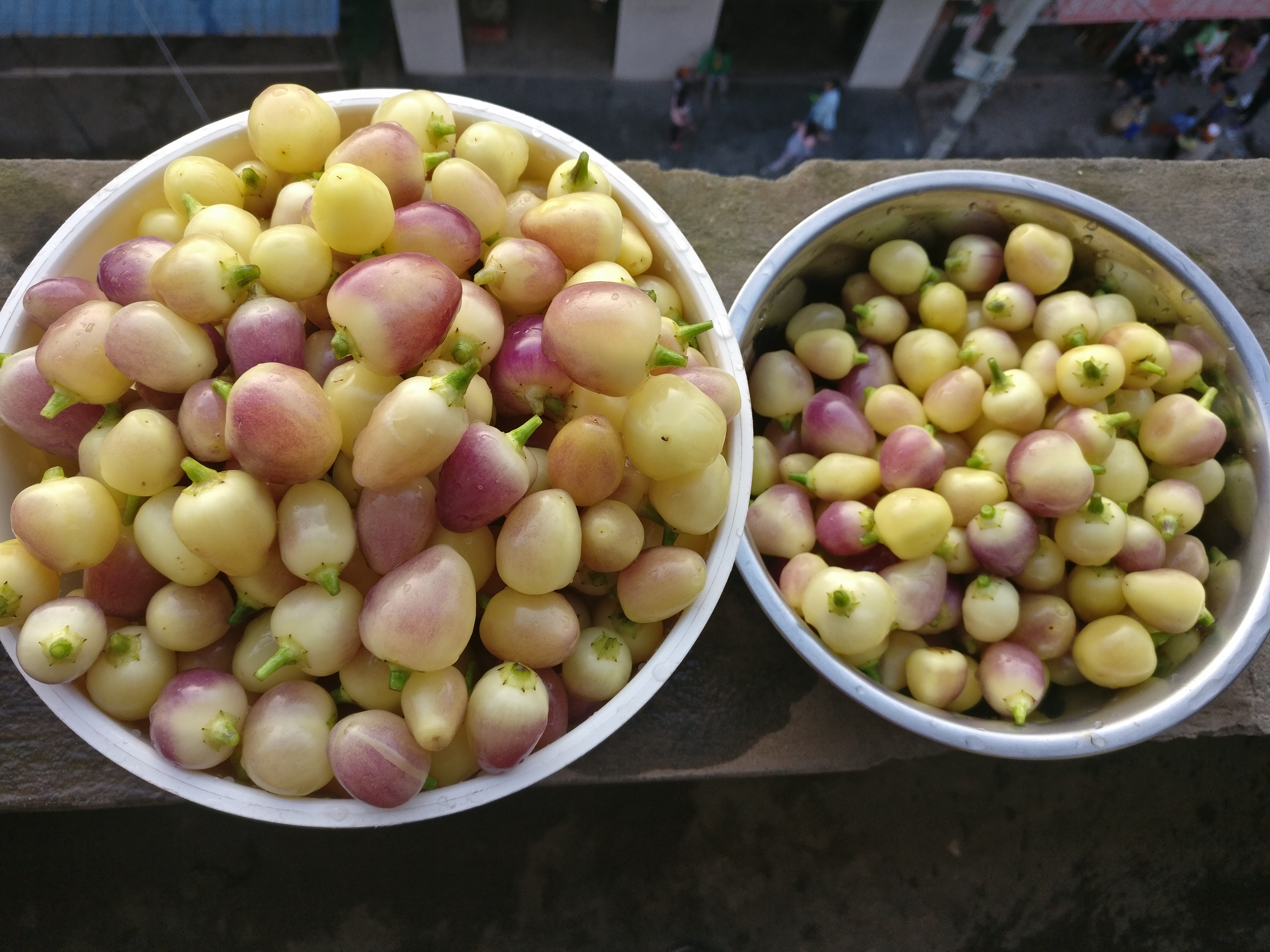 七彩椒泡椒制作方法小视频,七彩椒怎么做好吃家常