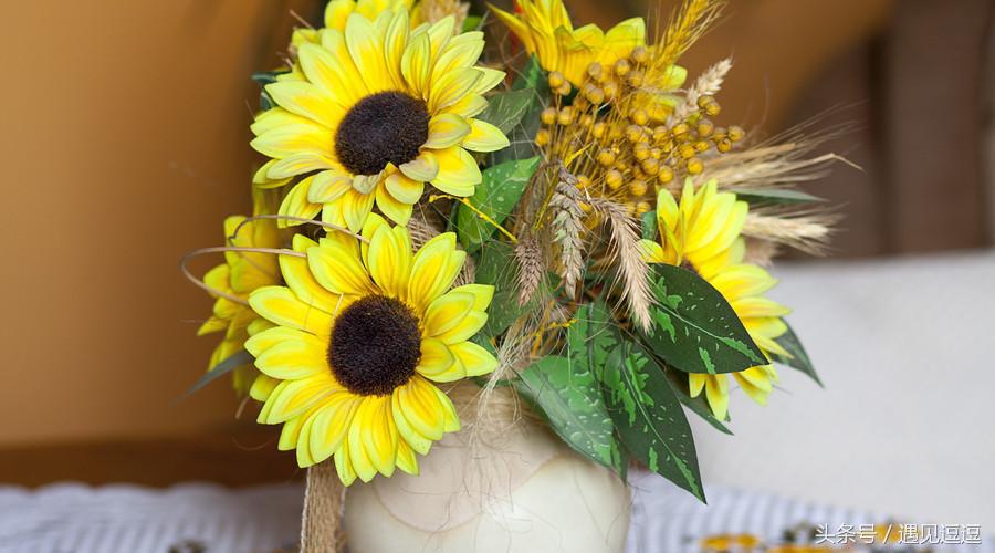 我一天看好几遍qq空间的访客，怎么就是没有你？