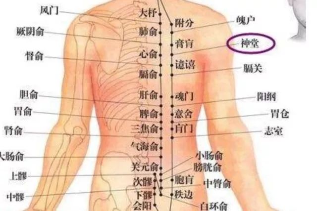 厉害了！按一按，宁心又养神！（文末有惊喜）