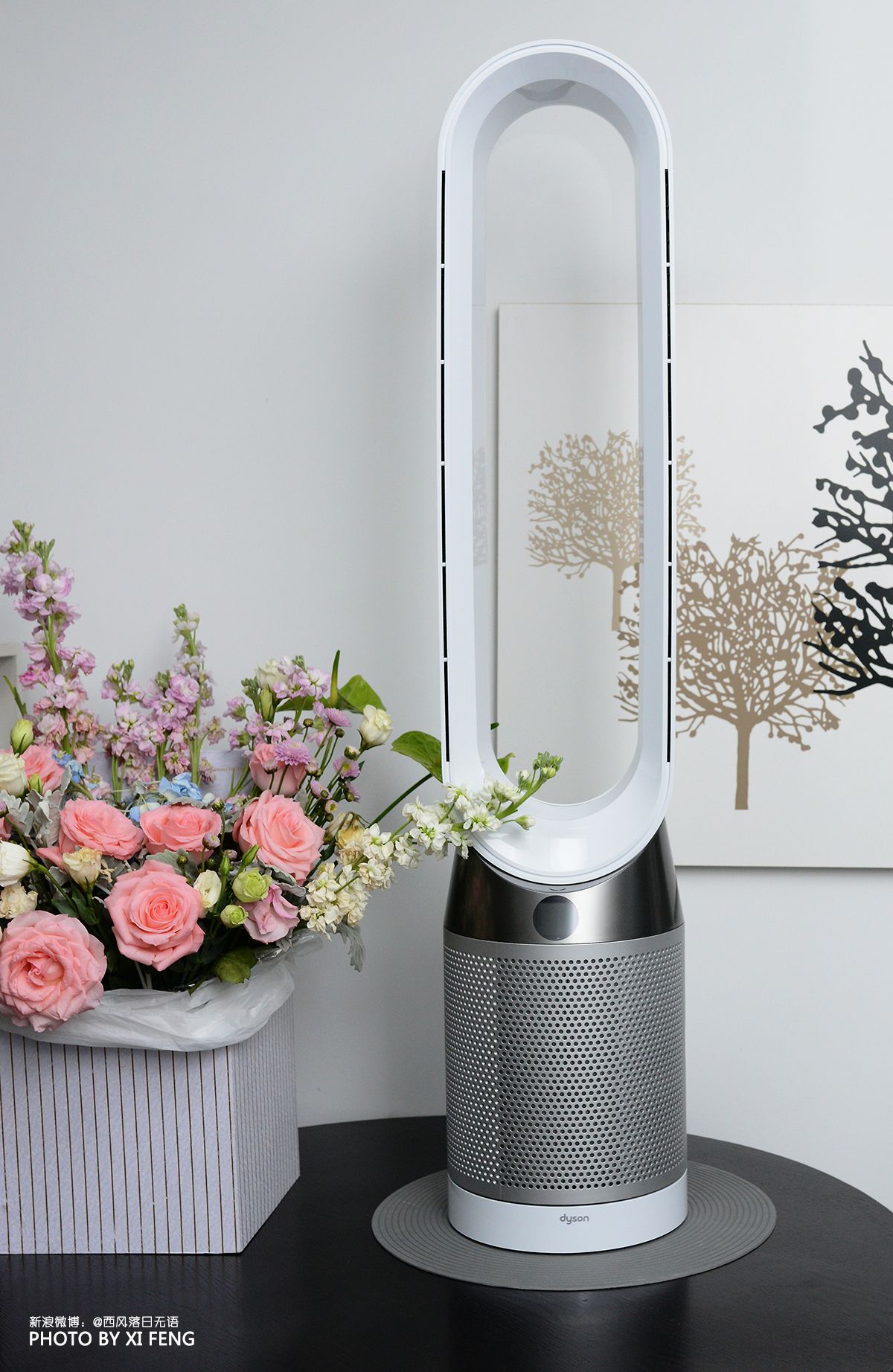 dysonpurecool空气净化风扇,戴森空气净化器purecool