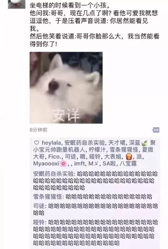 朋友圈截图哈哈哈哈笑到窒息了,笑出腹肌的朋友圈