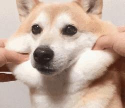 拔草品牌面膜,前几年比较火的微商面膜