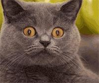 骚年们走点心，过节别再送你的女朋友假口红了