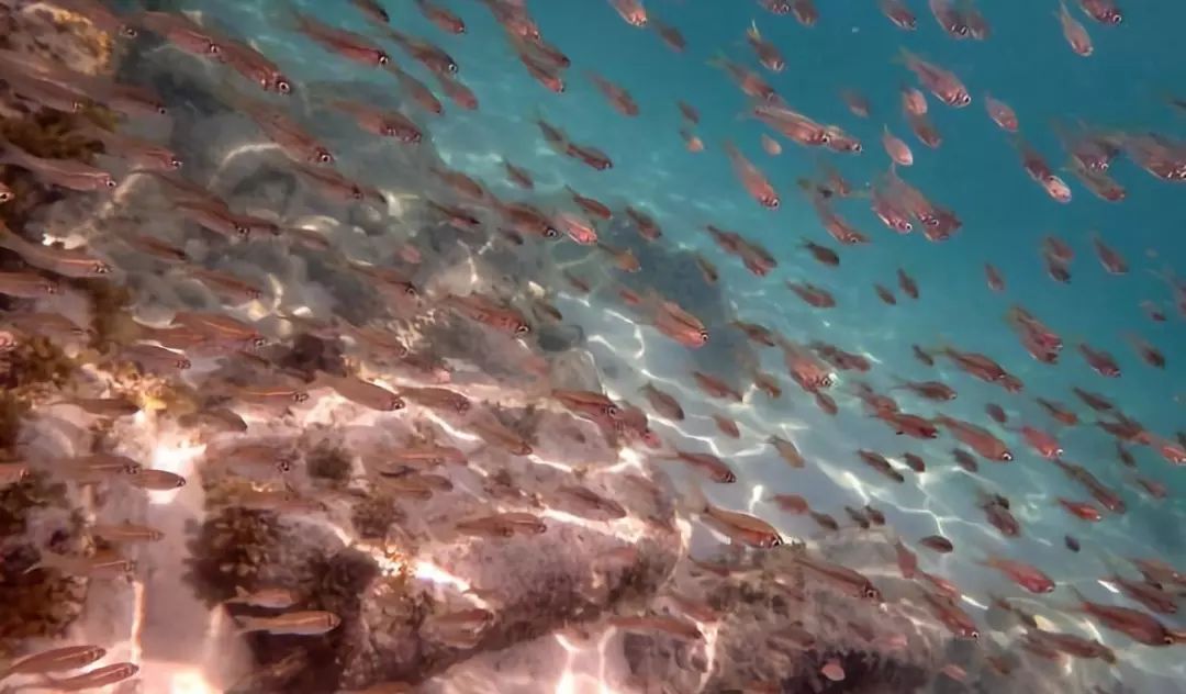 史上最强！2018香港56个景区全攻略，够用一整年！（含免费景区）