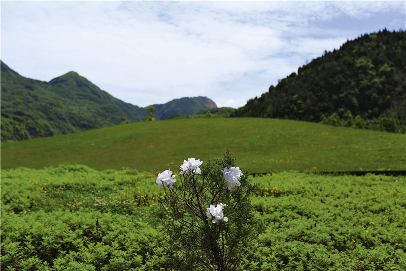 北川中学垮塌视频,北川中学地震惨景纪实