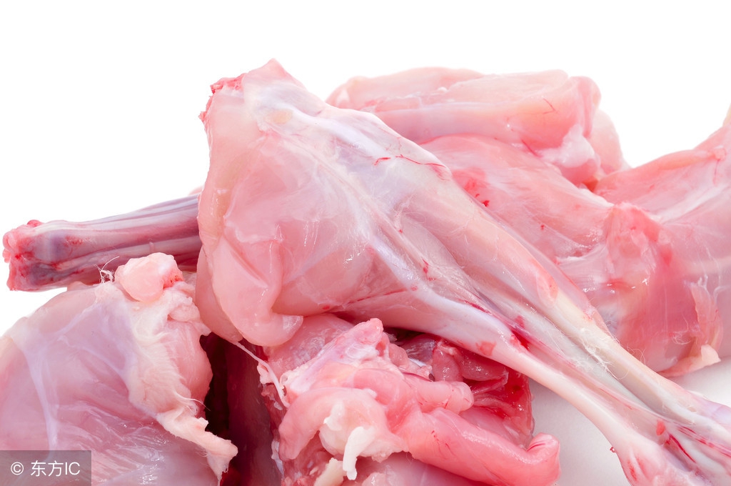 肉兔的基本饲养技术,肉兔养殖技巧和方法