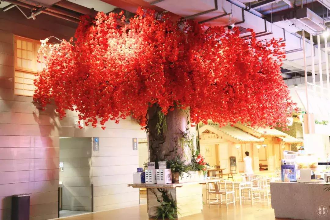 郑州汗蒸馆有哪些,郑州哪个汗蒸馆最好