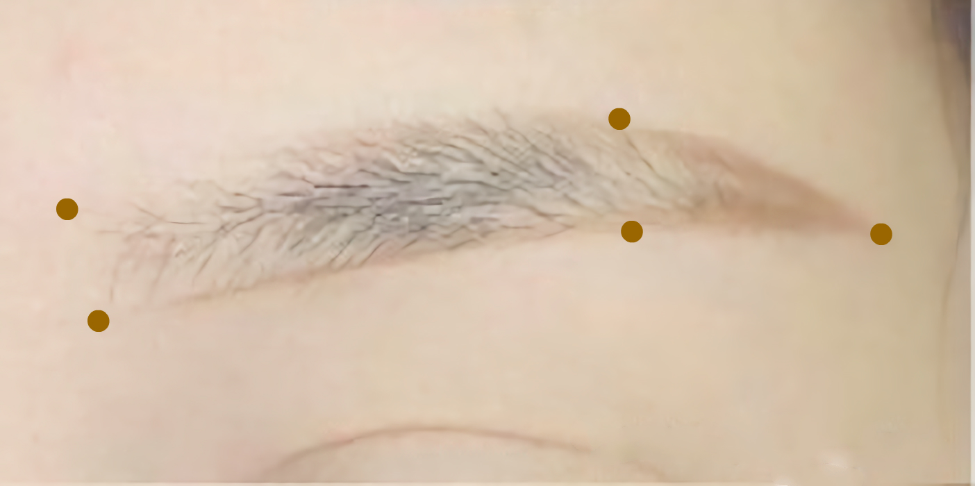 零失败的新手画眉教程,最简单的画眉教程新手一看就会