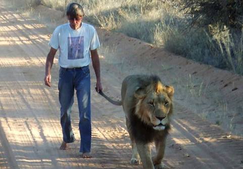 震惊世界的奇葩宠物,外国人养的奇葩宠物