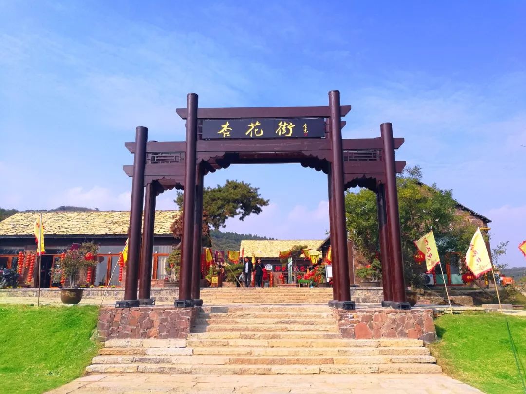 端午节我们要划龙舟还要干什么呢,端午节划龙舟的地方在哪里