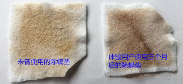 被子枕头如何除螨虫,消灭枕头上螨虫细菌的方法