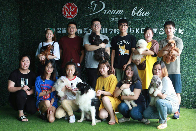 宠物美容和汽车美容,想学宠物美容去哪学比较好