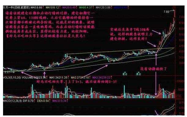 股市大跌为什么人还在炒股,中国炒股为什么亏钱