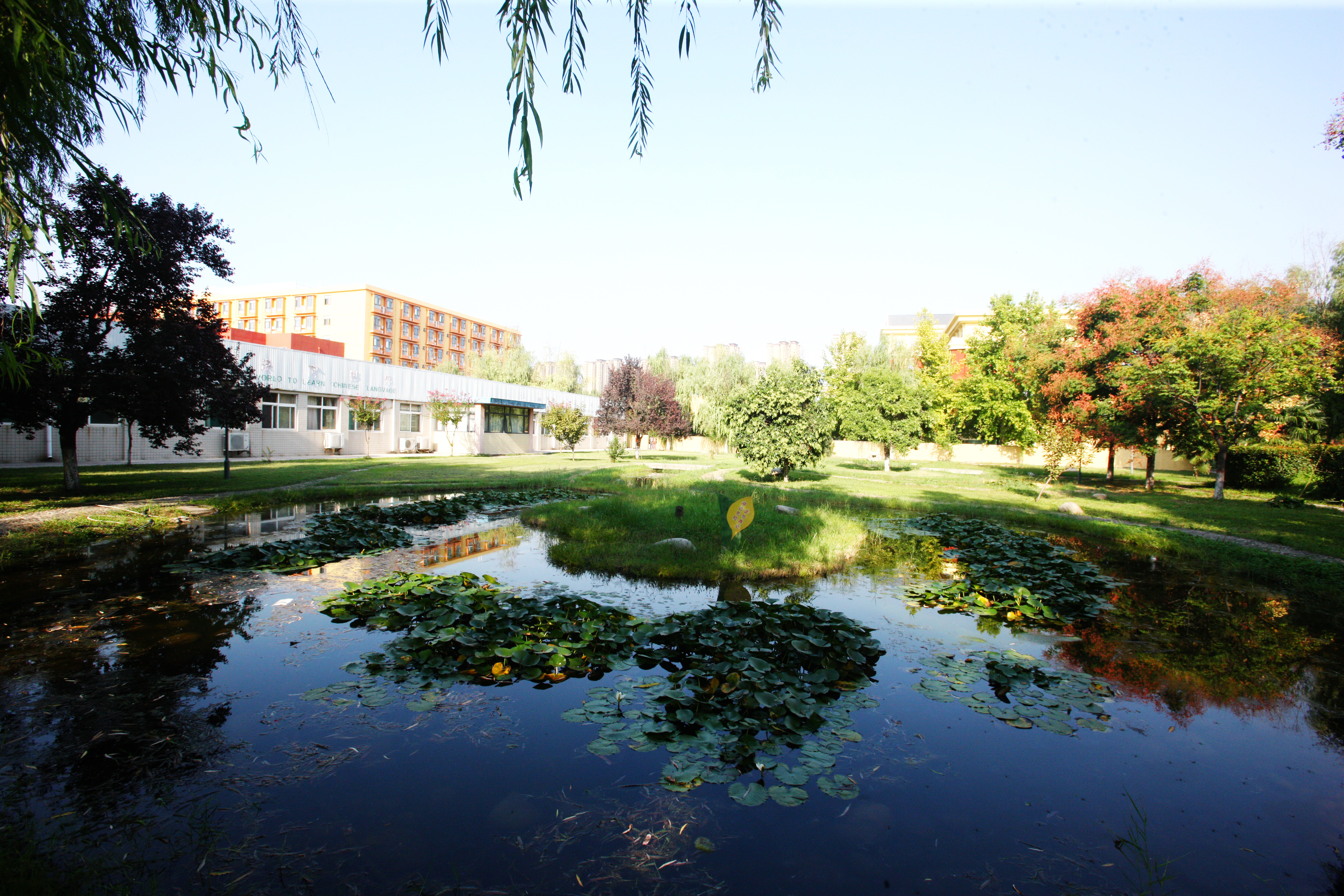 西安博爱国际学校高中部,西安高级中学博爱校区