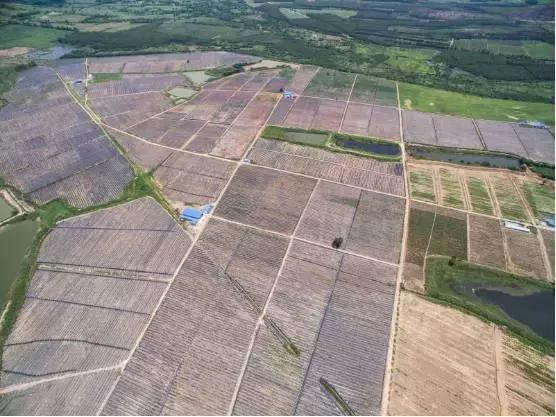 海南共享农庄批几个村庄,海南2019年首批共享农庄