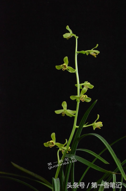 五月温度高是何征兆,五月温度为什么这么高