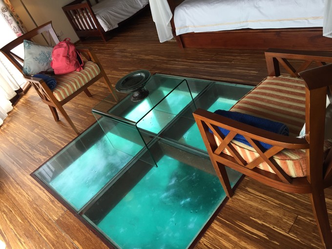 呱呱去旅行的视频,跟着瓜瓜去旅游