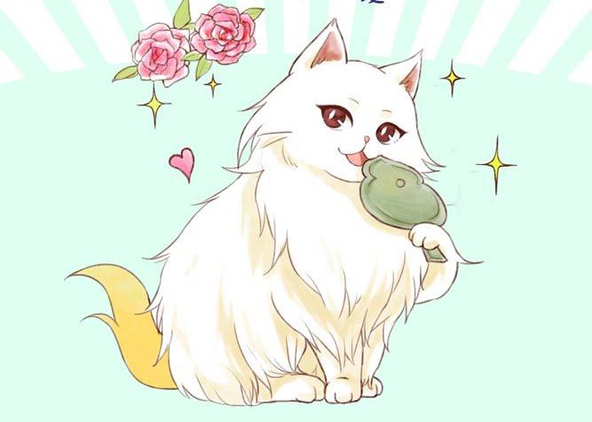 怎样知道猫咪的星座是什么座,十二星座的猫咪性格排名