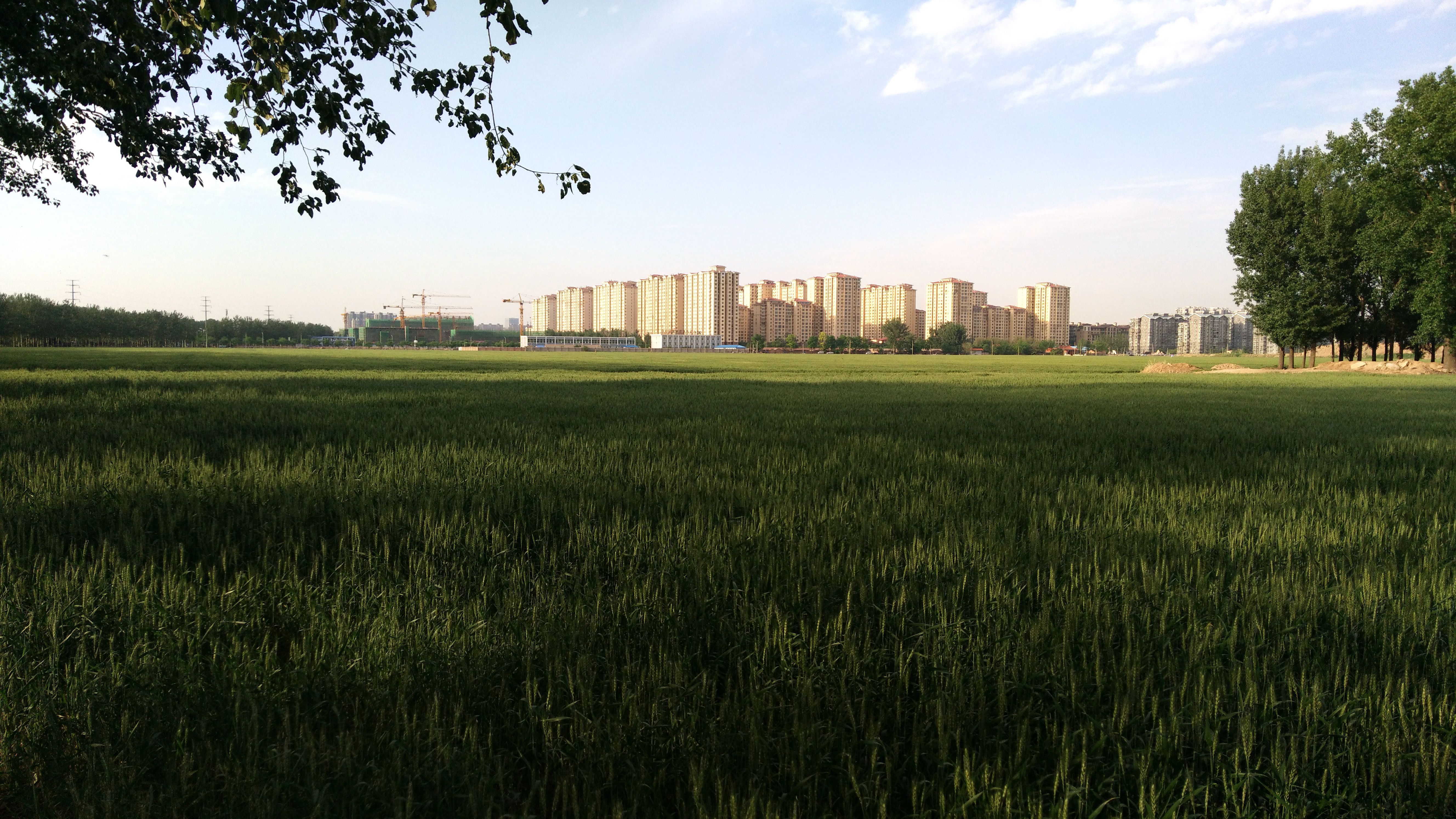 1366x768跟1920x1080区别很大吗,1366x768是超清吗